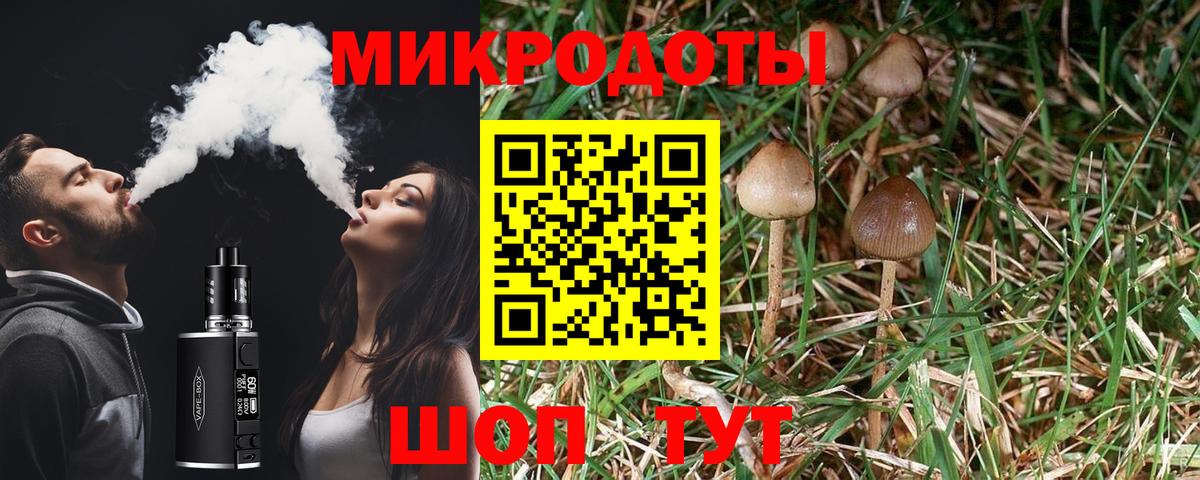 Лысьва  Псилоцибиновые грибы мицелий  Галлюциногенные грибы Psilocybine cubensis  цена   Вход с VPN 